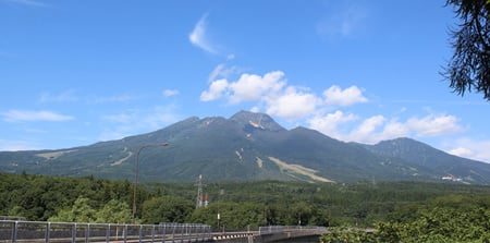 関連リンク