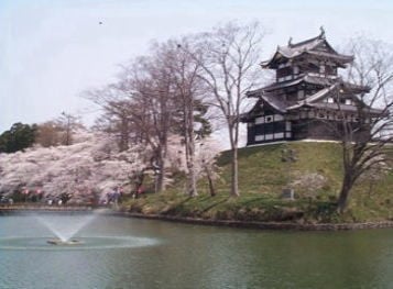 高田三重櫓と桜